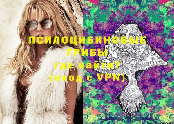 гашик Киреевск