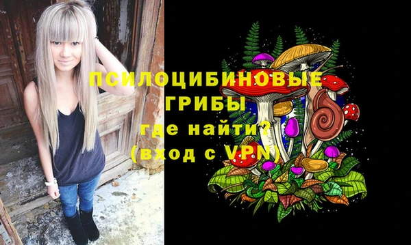 дживик Киренск