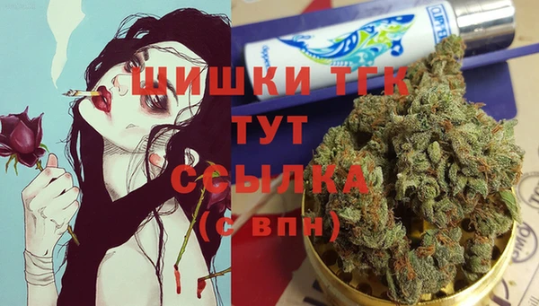 дживик Киренск