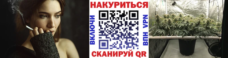 Купить где Кемь Бошки Шишки сатива